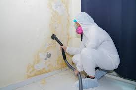 Best Mold Removal for HVAC Installations  in Woodbury, MN